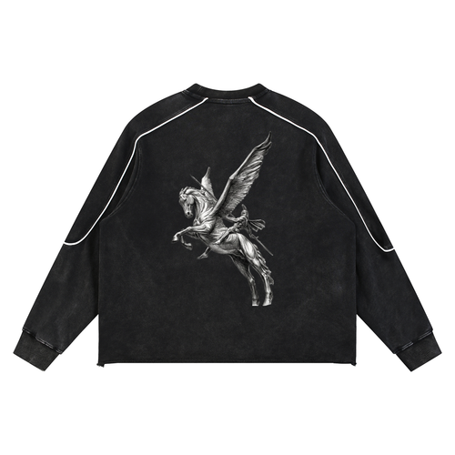 Mineral Wash Piping Raw Hem Sweatshirt